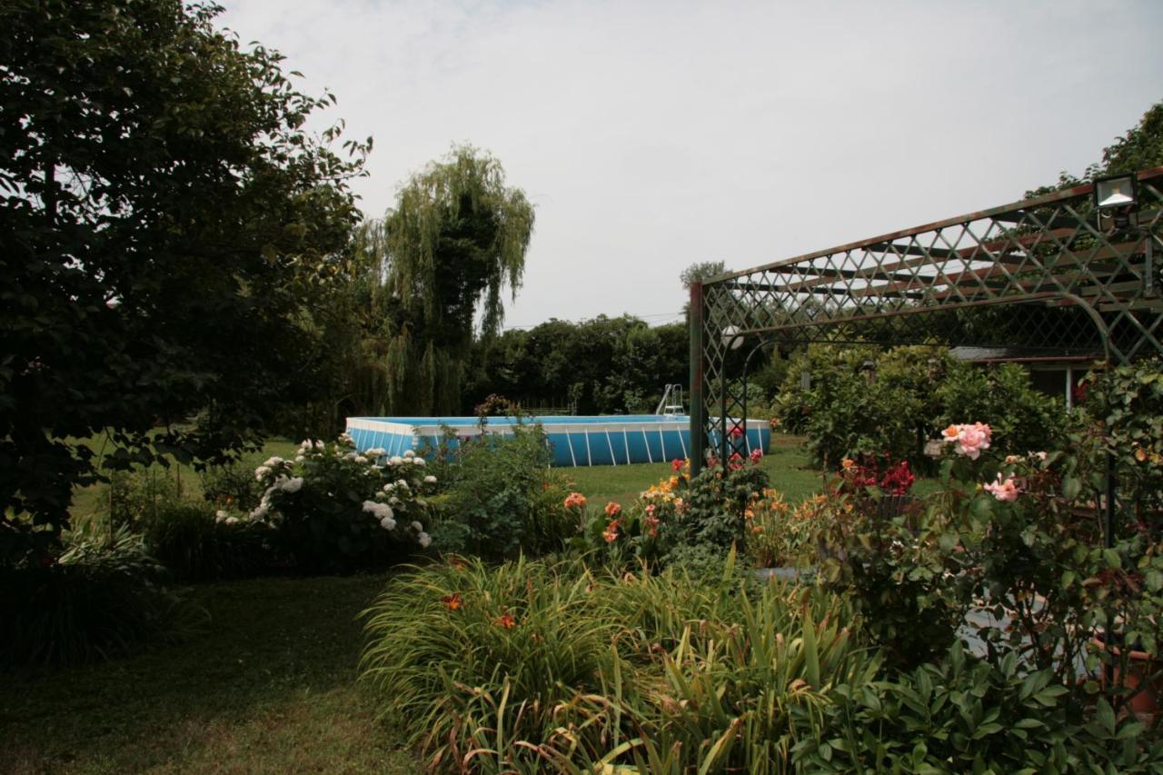 Pietrasanta - Versilia - Villa Arzilla Garden Con Piscina Tonfano Exterior photo